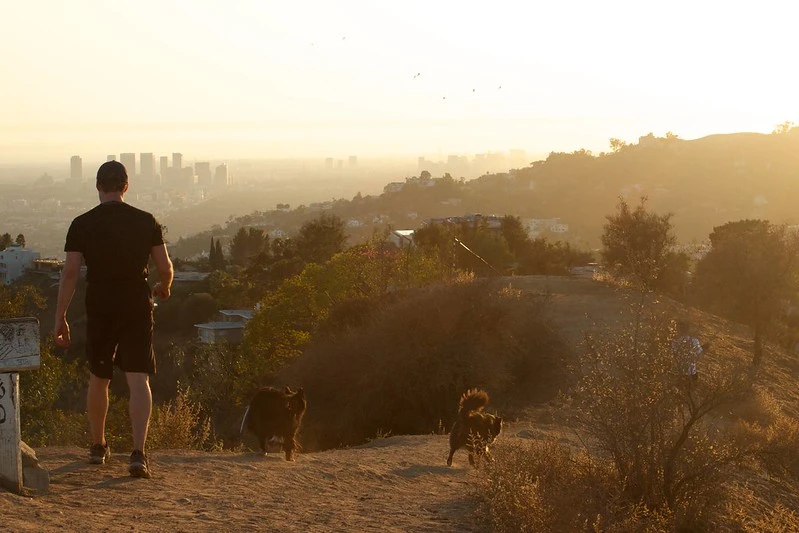 Hike in Runyon Canyon